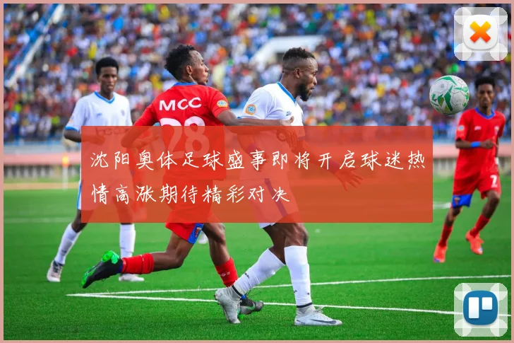 沈阳奥体足球盛事即将开启球迷热情高涨期待精彩对决