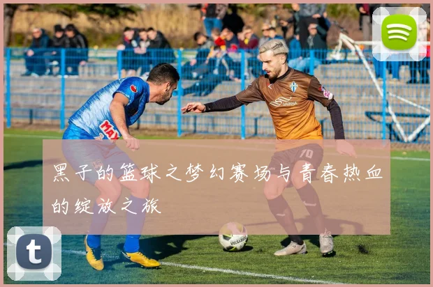 黑子的篮球之梦幻赛场与青春热血的绽放之旅